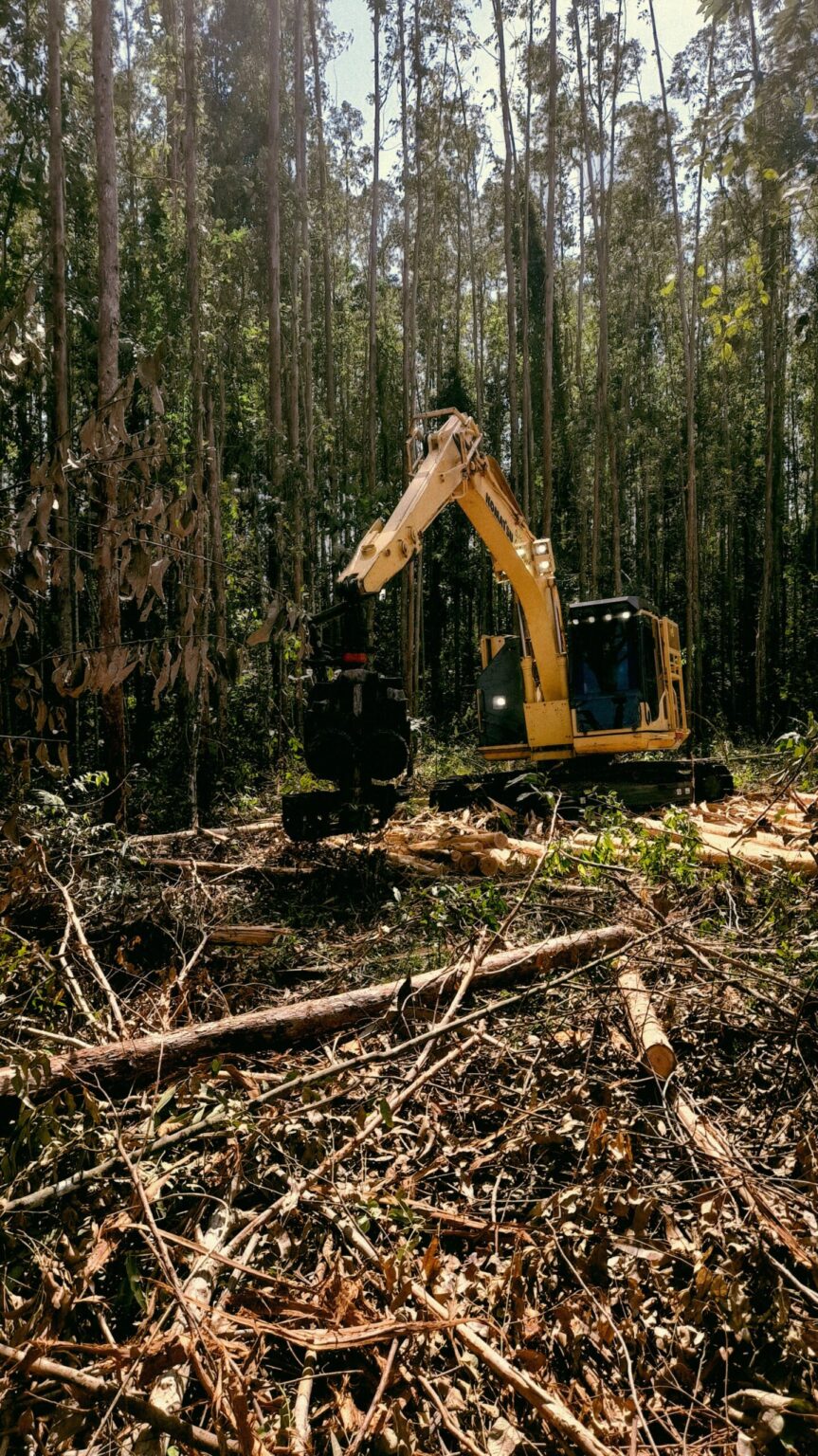 Brown's Forestry Mulching & Land Management - Brown's Forestry Mulching ...