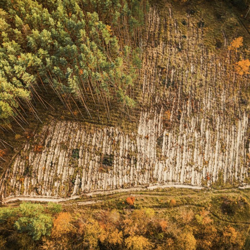 Screenshot 2025-10-20 at 5.58.29 PM Screenshot 2025-10-20 at 5.58.29 PM